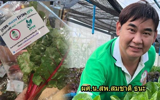 Phayao organic Farming