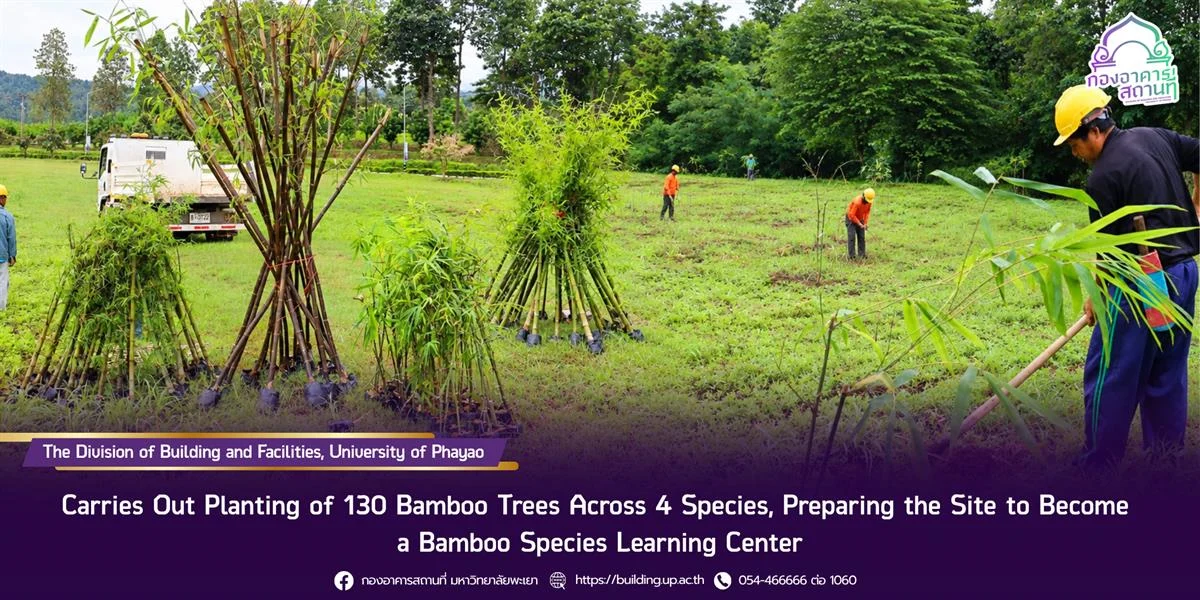 Carries Out Planting of 130 Bamboo Trees Across 4 Species, Preparing the Site to Become a Bamboo Species Learning Center
