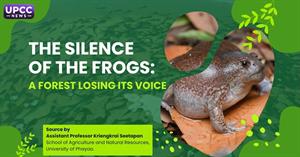 The Silence of the Frogs: A Forest Losing Its Voice