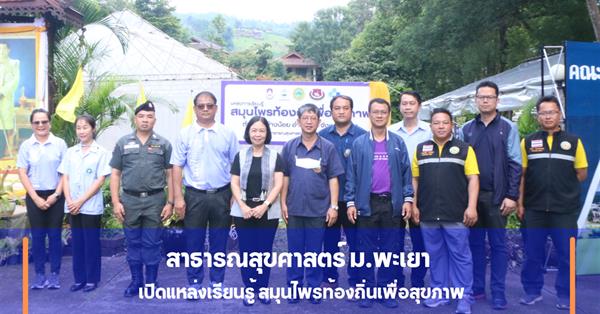 School of Public Health, University of Phayao, Establish Local Herbal Learning Center for Health