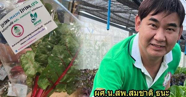 Phayao organic Farming, passed SDGsPGS organic agriculture standards.