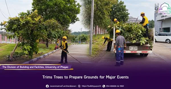 The Division of Buildings and Facilities, University of Phayao, Trims Trees to Prepare Grounds for Major Events