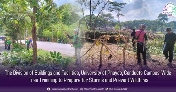 The Division of Buildings and Facilities, University of Phayao, Conducts Campus-Wide Tree Trimming to Prepare for Storms and Prevent Wildfires