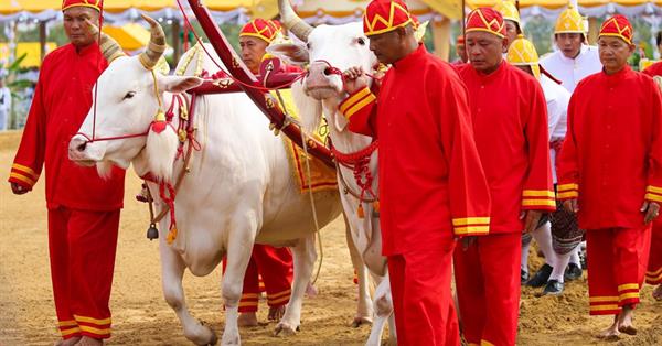 The Royal Ploughing Ceremony is held on Friday, May 13, 2022 at Sanam Luang ground in front of the Grand Palace