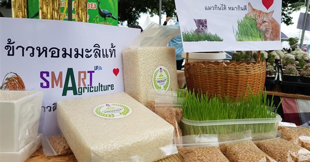 คณะเกษตรศาสตร์ฯ ร่วมจัดกิจกรรมออกบูธในงาน " ล้าลาลอย " จำหน่ายและแสดงโชว์ผลิตภัณฑ์ของคณะ และของนิสิตคณะเกษตรศาสตร์ฯ