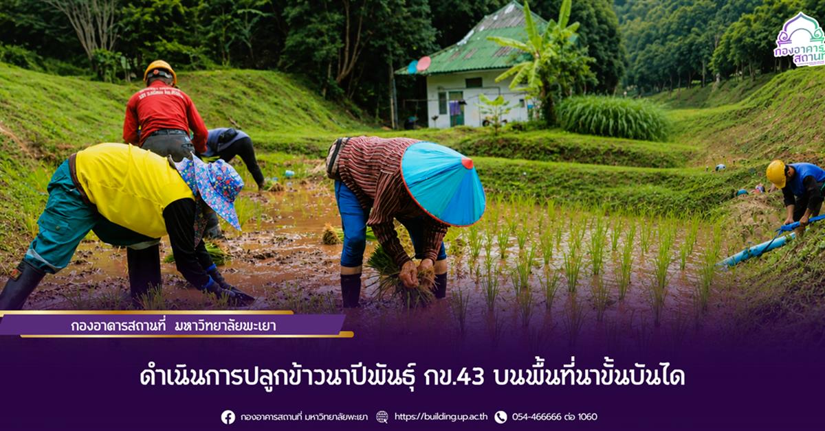 กองอาคารสถานที่