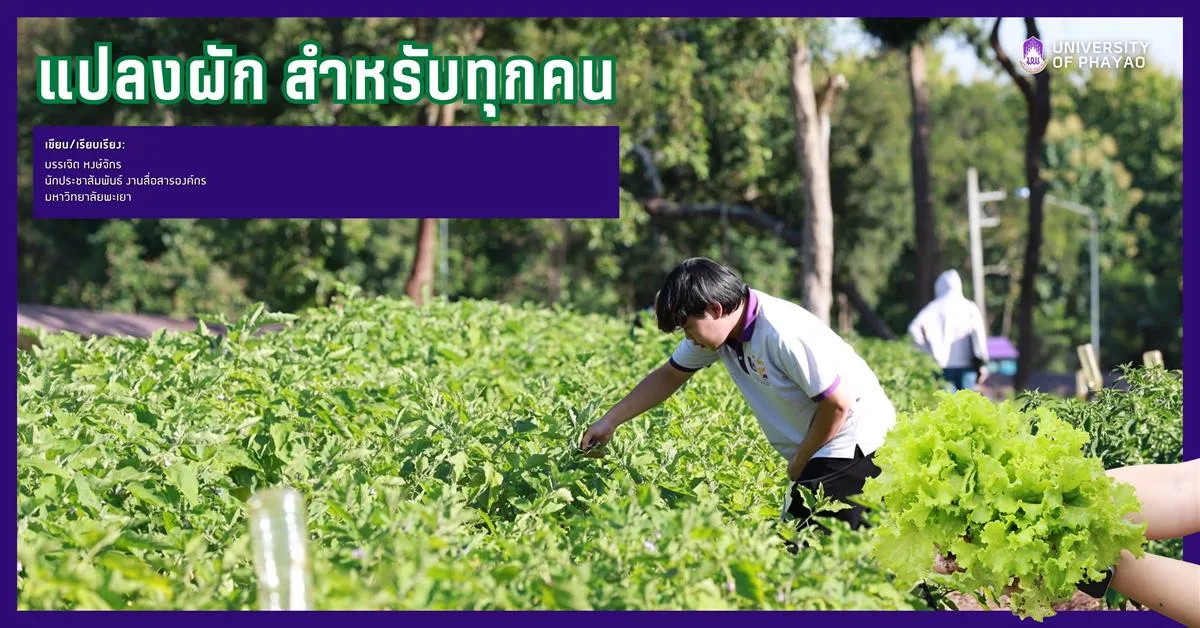 แปลงผัก สำหรับทุกคน
