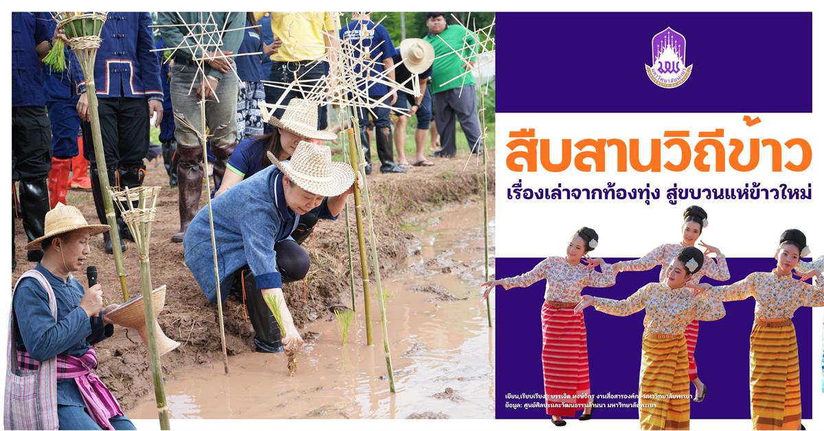 วิถีข้าว 