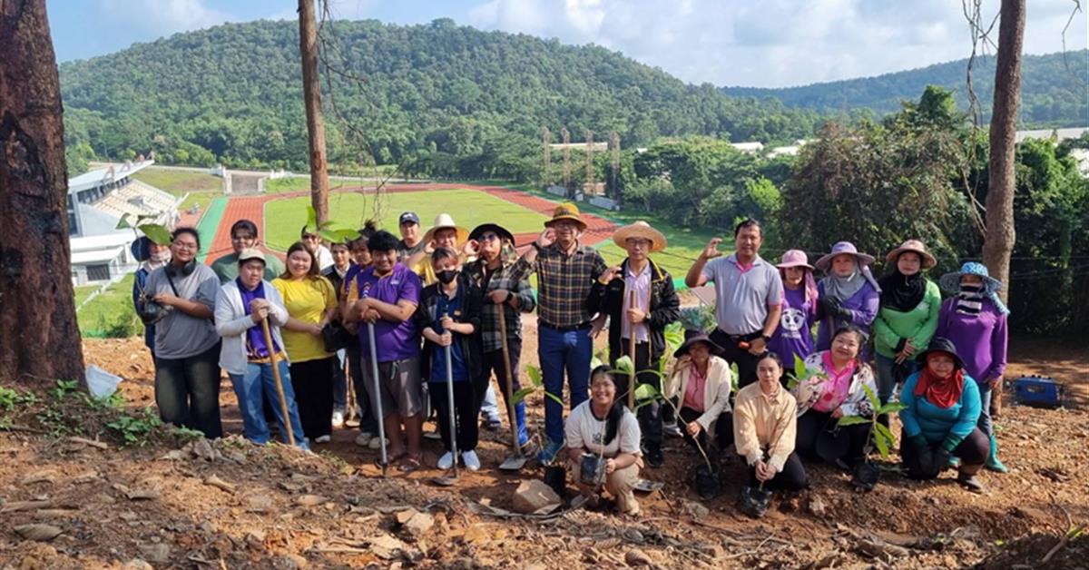 กองกิจการนิสิต ร่วมกับ กองอาคารสถานที่ ปลูกต้นคำมอกหลวง