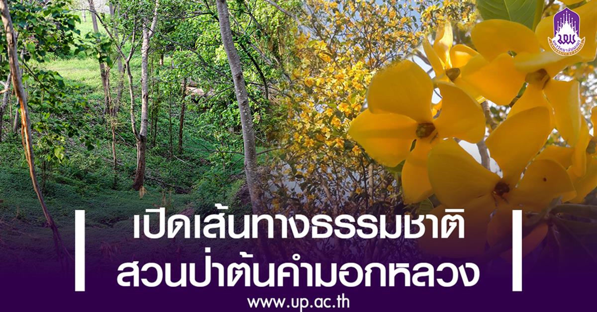 เปิดเส้นทางธรรมชาติสวนป่าต้นคำมอกหลวง