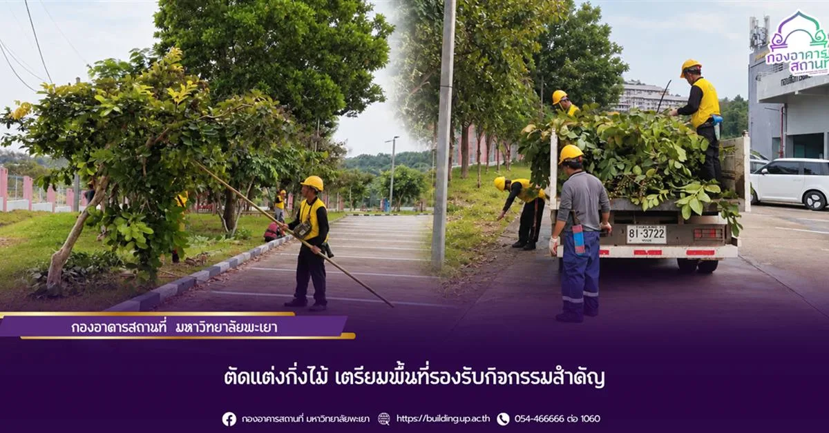 ตัดแต่งกิ่งไม้, เตรียมพื้นที่กิจกรรมสำคัญ