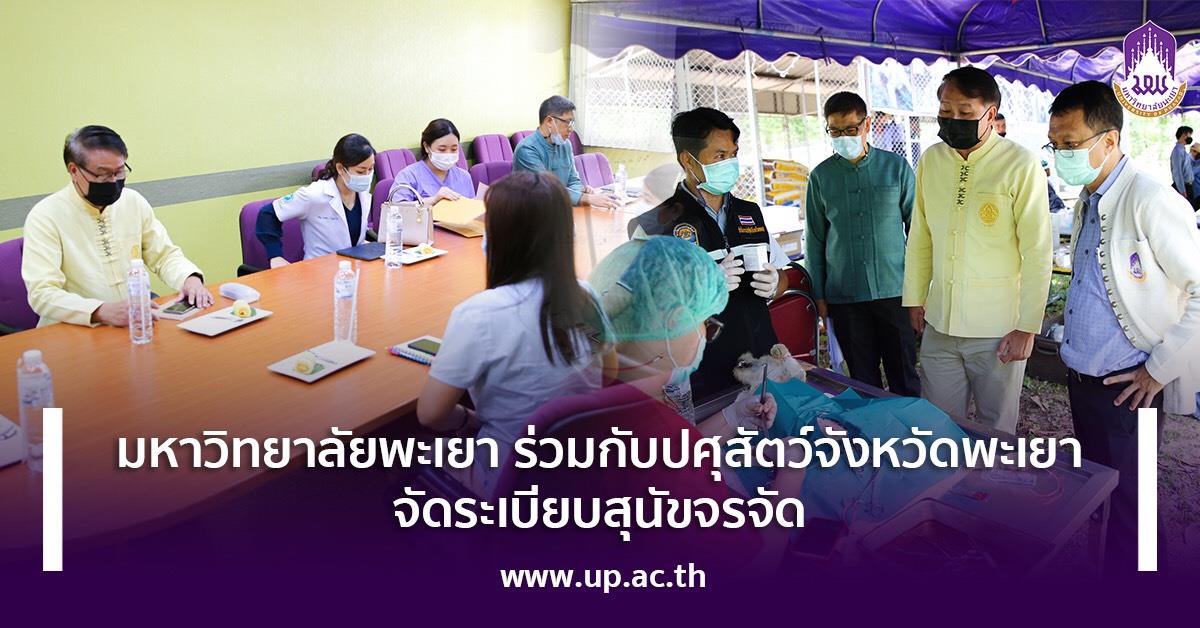 มหาวิทยาลัยพะเยา ร่วมกับ ปศุสัตว์จังหวัดพะเยา จัดระเบียบสุนัขจรจัด 