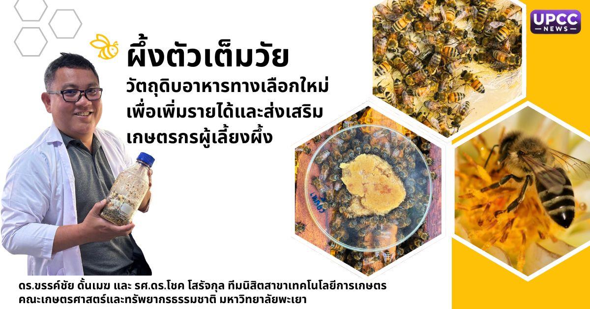 การหมักผึ้งตัวเต็มวัยเป็นซอสปรุงรส