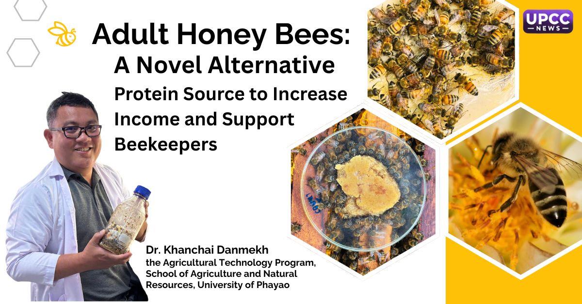 Adult Honey Bees