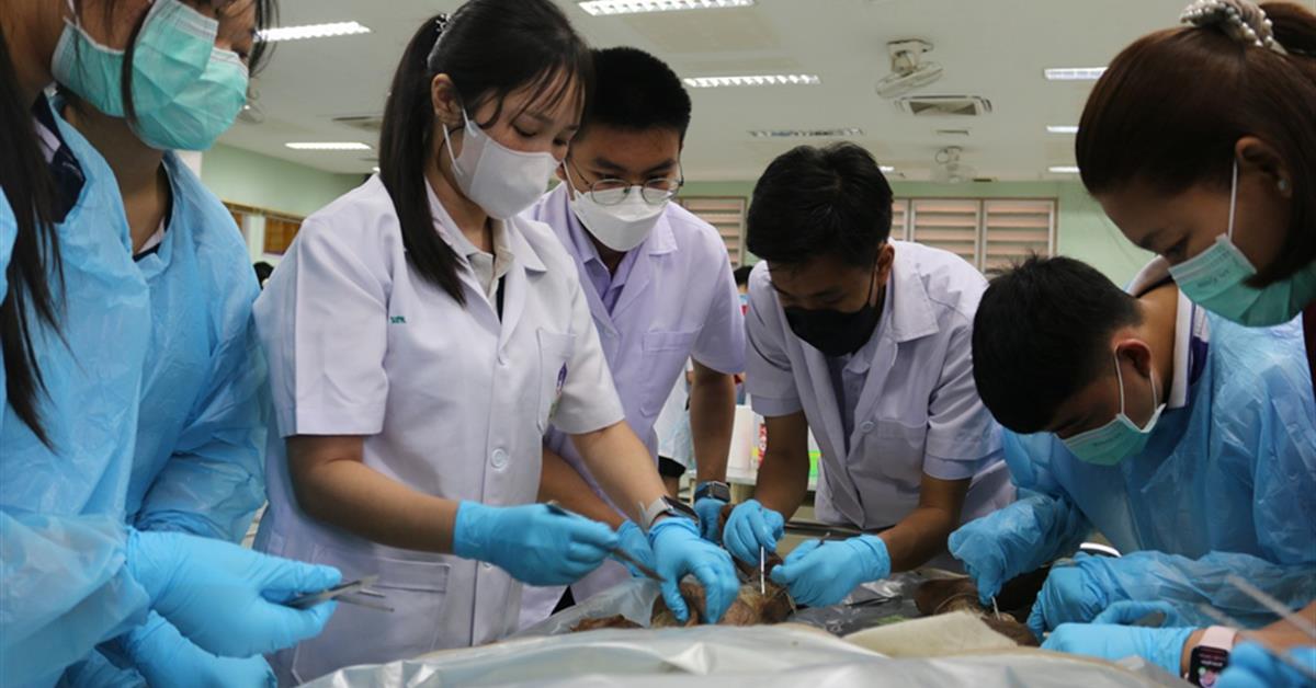 คณะวิทยาศาสตร์การแพทย์, เตรียมติดหมอ