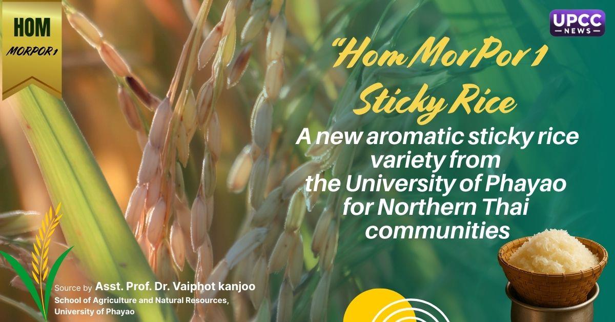 Hom MorPor 1 Sticky Rice