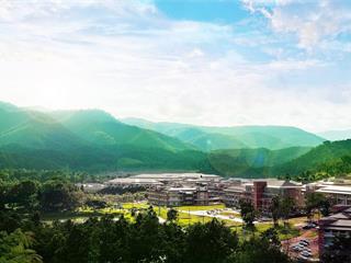 UP,Green