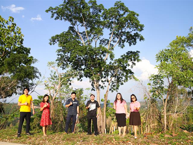 อธิการบดีมหาวิทยาลัยพะเยา  นำทีมผู้บริหาร คณาจารย์ และเจ้าหน้าที่ ปลูกต้นกล้วยเพื่อทำแนวป้องกันไฟป่า