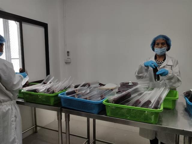 คณะพลังงานและสิ่งแวดล้อม มหาวิทยาลัยพะเยา
