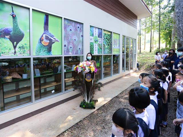 เปิดแล้ว “นิทรรศการนกยูงไทยแห่งล้านนาตะวันออก” โครงการล้านนาตะวันออก 