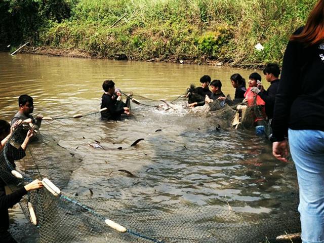 นิสิตการประมง คณะเกษตรศาสตร์ฯ ดำเนินกิจกรรมขนย้ายปลาบึก (Mekong Giant Catfish) และปลาเทพา (Chao Phraya Giant Catfish)