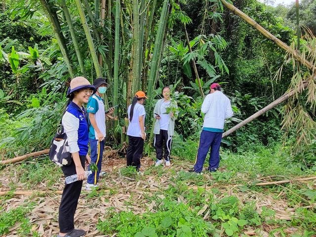 คณะสาธารณสุขศาสตร์ ดำเนินโครงการพัฒนาแหล่งเรียนรู้สมุนไพรท้องถิ่นเพื่อสุขภาพ ภายใต้โครงการ 1 ชุมชน 1 นวัตกรรม ณ พื้นที่ตำบลผาช้างน้อย อำเภอปง จังหวัดพะเยา 