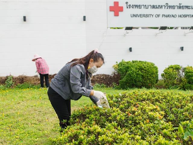 กองอาคารสถานที่ มหาวิทยาลัยพะเยา