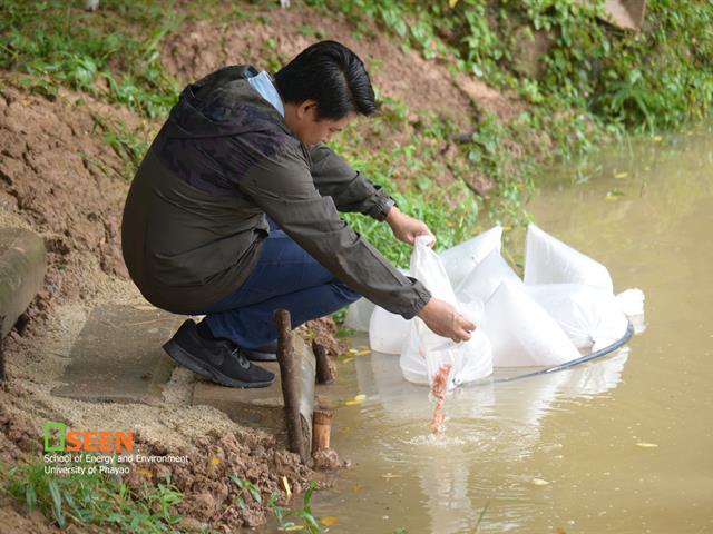 University of Phayao