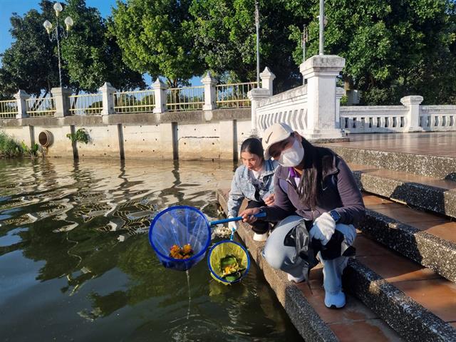 พายเรือ