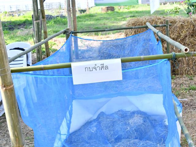 Phayao Frog Fest 2023