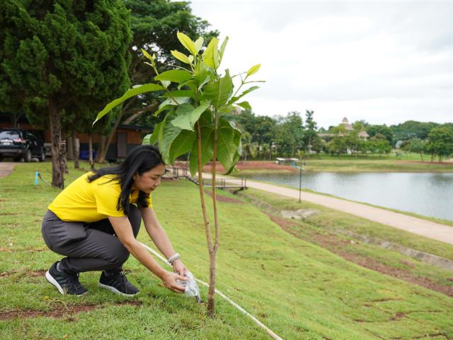 พิธีถวายพระพรชัยมงคล