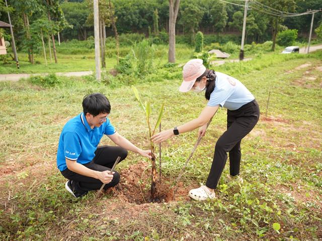 ปลูกไม้ผล คนกินได้