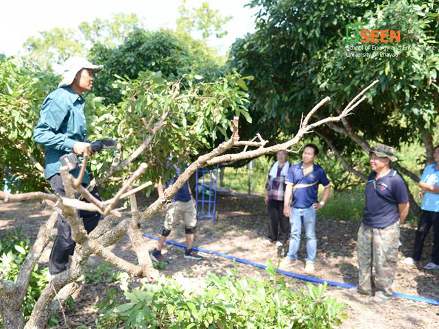 University of Phayao 