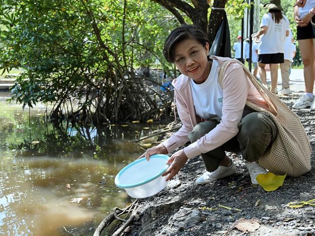 วิทยาลัยการจัดการ มหาวิทยาลัยพะเยา  เข้าร่วม ปลูกป่า ปล่อยปู ฟื้นฟูป่าชายเลน กิจกรรมสร้างสรรค์ เพื่อสังคม และสิ่งแวดล้อม