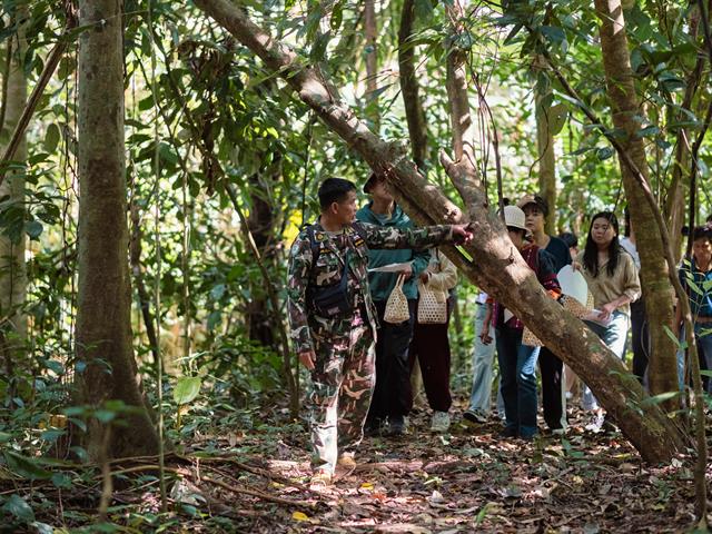 ม.พะเยา ร่วมมือ จุฬาฯ จัดกิจกรรม “Beyond the Journey: A Retreat into Nature,  Culture, and Taste” เปิดเส้นทางการท่องเที่ยวเชิงสร้างสรรค์ยอดภูลังกา