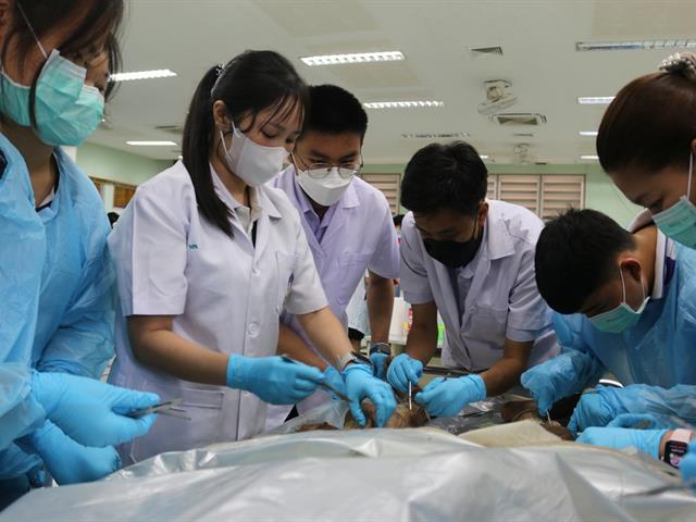 คณะวิทยาศาสตร์การแพทย์, เตรียมติดหมอ