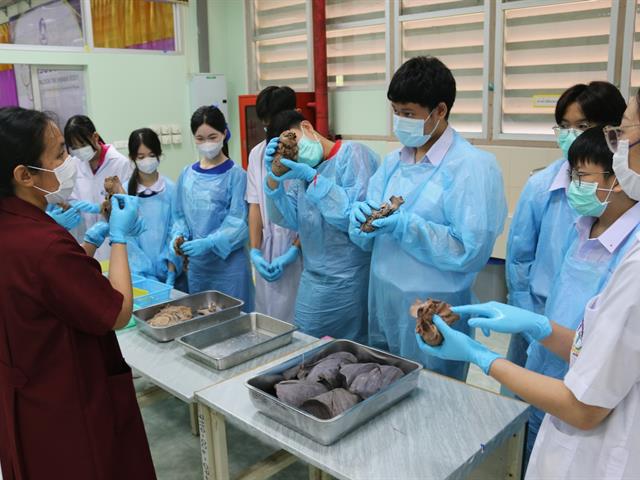 คณะวิทยาศาสตร์การแพทย์, เตรียมติดหมอ