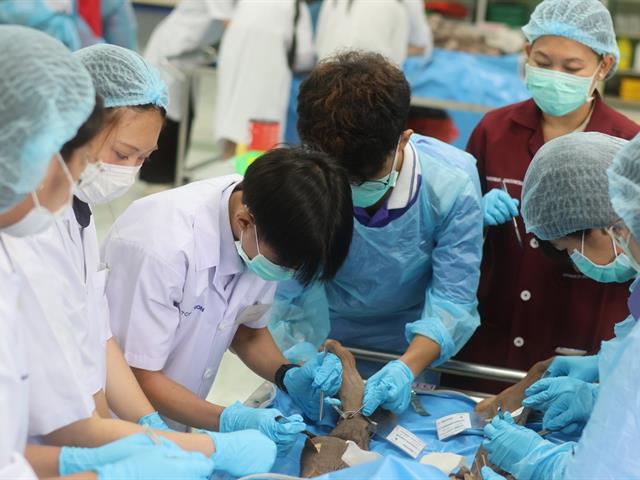 คณะวิทยาศาสตร์การแพทย์, เตรียมติดหมอ