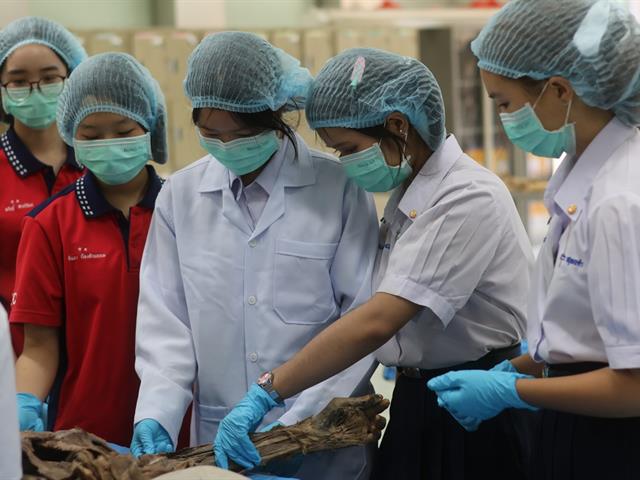 คณะวิทยาศาสตร์การแพทย์, เตรียมติดหมอ
