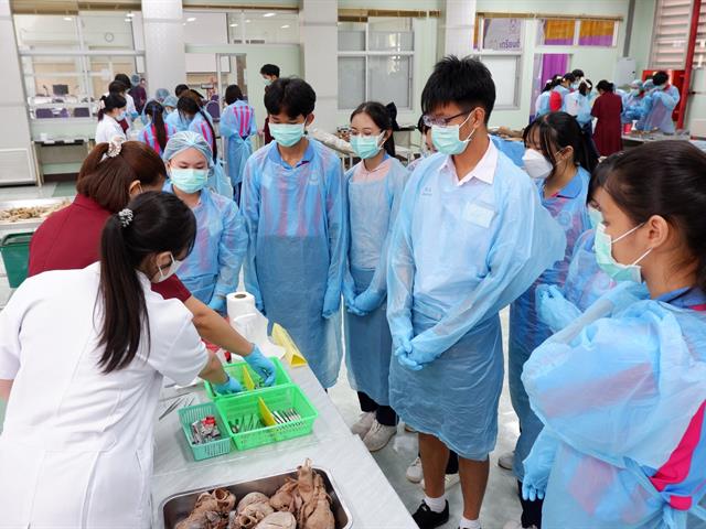 คณะวิทยาศาสตร์การแพทย์, เตรียมติดหมอ