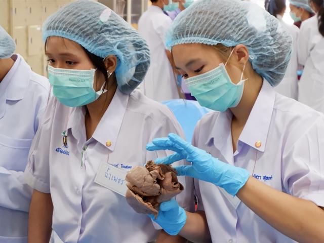 คณะวิทยาศาสตร์การแพทย์, เตรียมติดหมอ