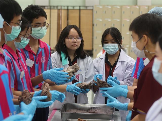 คณะวิทยาศาสตร์การแพทย์, เตรียมติดหมอ
