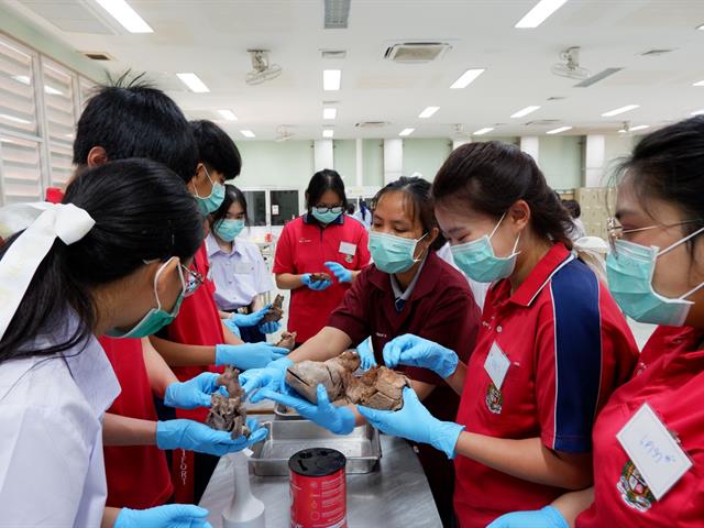 คณะวิทยาศาสตร์การแพทย์, เตรียมติดหมอ
