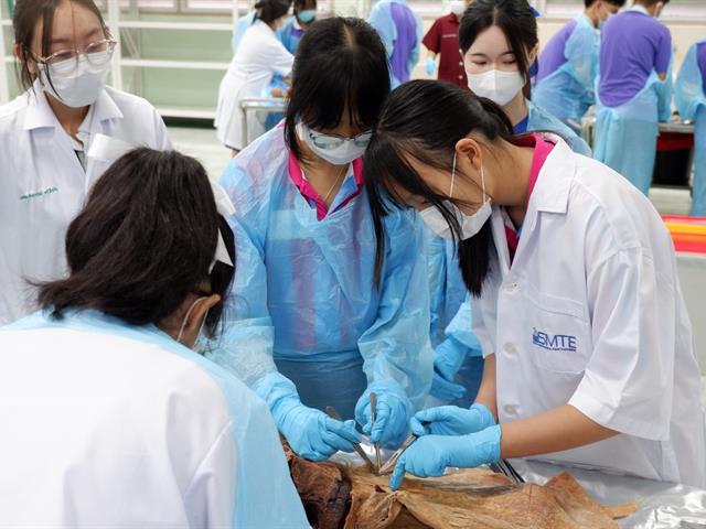 คณะวิทยาศาสตร์การแพทย์, เตรียมติดหมอ