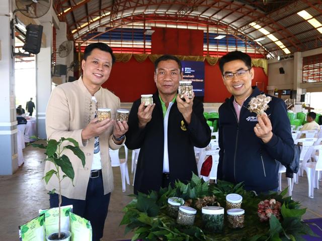 Seasoning Powder from Local Plants: An Innovative Alternative for Health and Community Sustainability