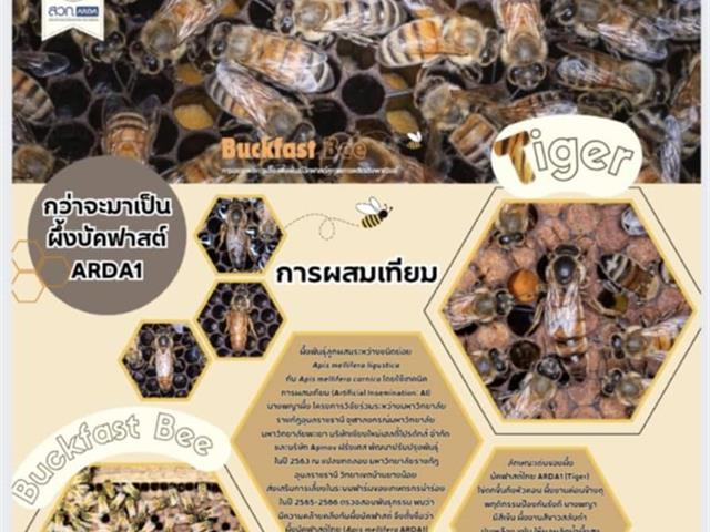 คณะวิทยาศาสตร์ มหาวิทยาลัยพะเยา