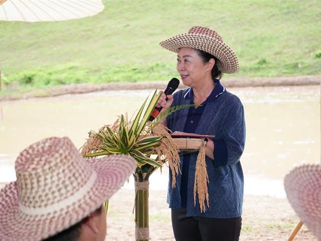 มหาวิทยาลัยพะเยา จัดกิจกรรม “สืบสานวิถีดำนา”  เผยแพร่ภูมิปัญญาดำนาแบบดั้งเดิม ตามวิถีวัฒนธรรมล้านนาตะวันออก