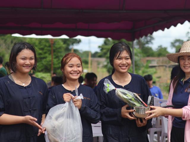 กิจกรรมดำนา