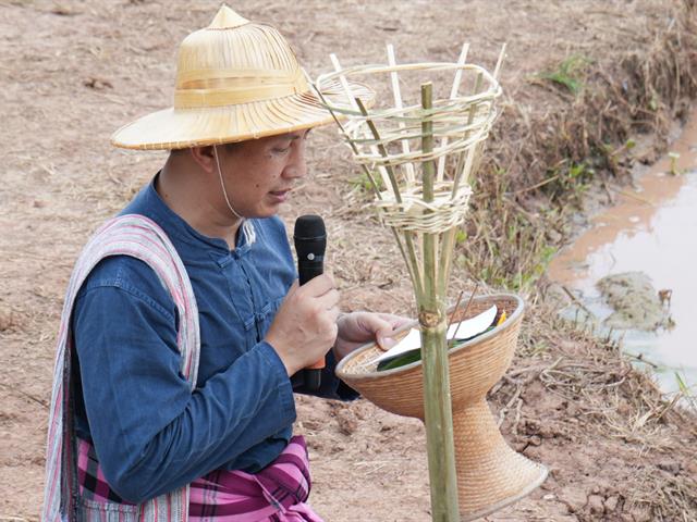 กิจกรรมดำนา