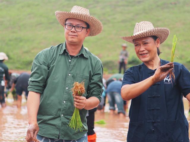 กิจกรรมดำนา